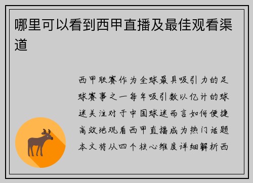 哪里可以看到西甲直播及最佳观看渠道